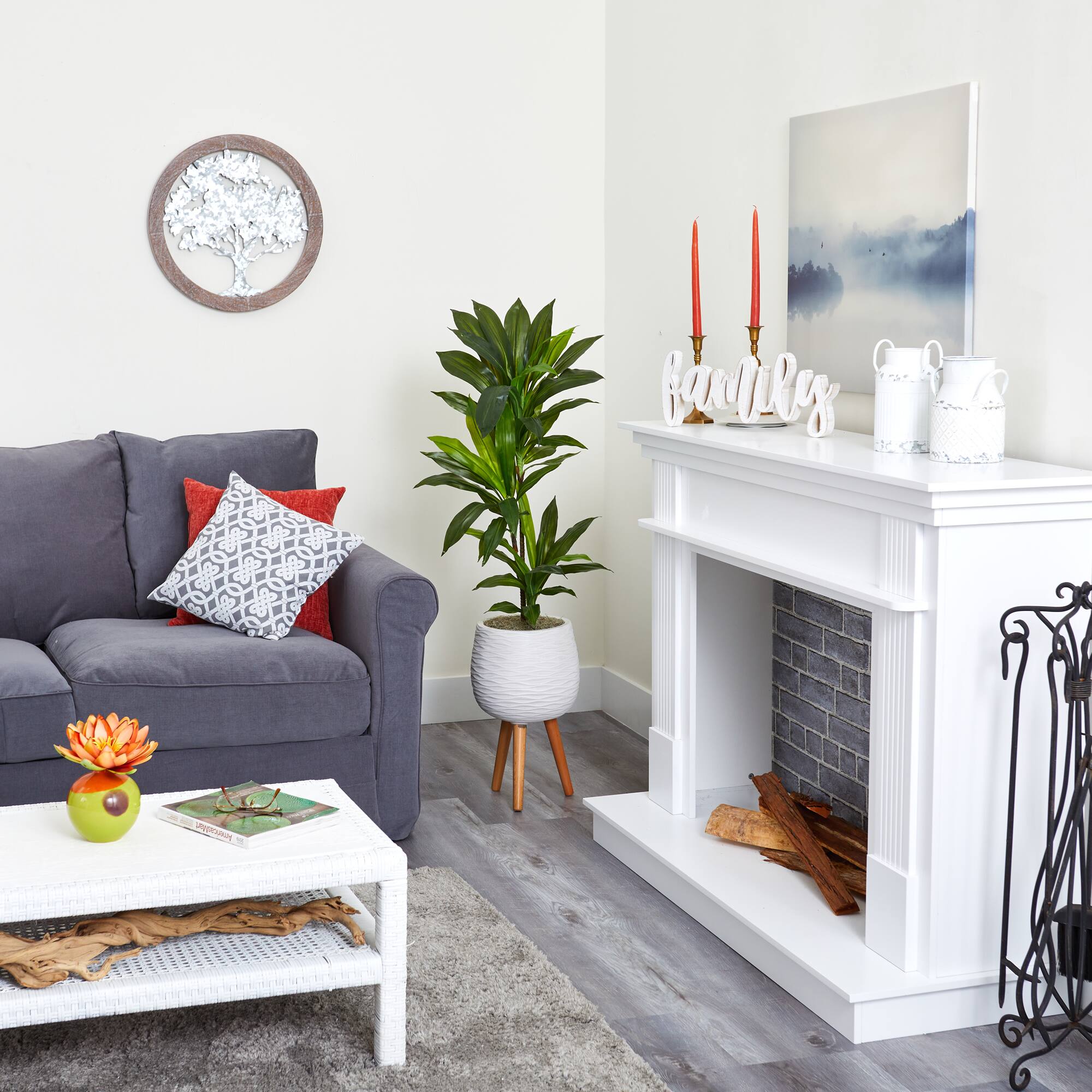 4ft. Dracaena Plant in White Planter with Stand